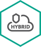 Kaspersky Hybrid Cloud Security 24 maand(en)