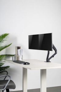 NewStar Flat Screen Desk Mount