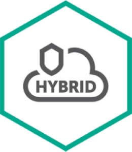 Kaspersky Hybrid Cloud Security 24 maand(en)