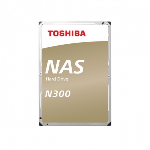 N300 NAS Hard Drive 10TB