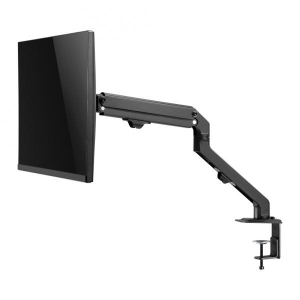 NewStar Flat Screen Desk Mount