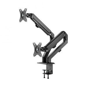 NewStar Flat Screen Desk Mount