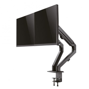 NewStar Flat Screen Desk Mount