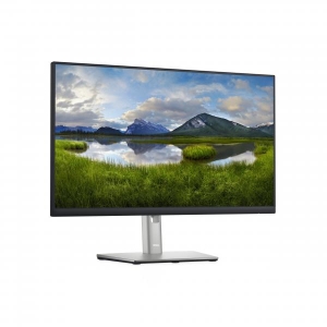 DELL 24 monitor - P2422H