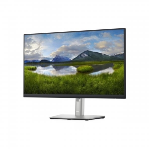 DELL 24 monitor - P2422H