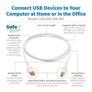 Tripp Lite U022AB-006-WH USB-kabel 1,83 m USB 2.0 USB A USB B Wit