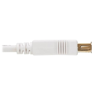 Tripp Lite U024AB-006-WH USB-kabel 1,83 m USB 2.0 USB A Wit