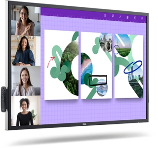 DELL P5524QT Interactief flatscreen 139,7 cm (55\") LCD 350 cd/m² 4K Ultra HD Zwart Touchscreen