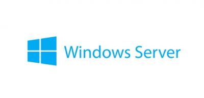 MS Win Serv 2019 Client Acc Lic 10 User