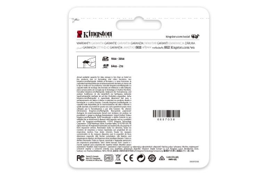 64GB SDXC Canvas Go Plus 170R UHS-I U3
