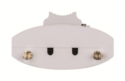AC1300Outdoor Cloud Managed Access Point