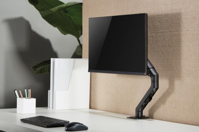 NewStar Flat Screen Desk Mount