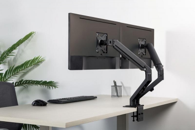 NewStar Flat Screen Desk Mount