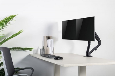 NewStar Flat Screen Desk Mount