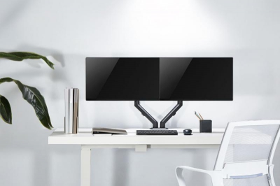 NewStar Flat Screen Desk Mount