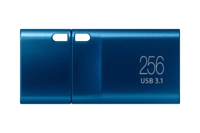 Samsung MUF-256DA USB flash drive 256 GB USB Type-C 3.2 Gen 1 (3.1 Gen 1) Blauw